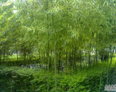 說明: https://ps.ssl.qhimg.com/sdmt/170_135_100/t01075988d0ea4396e3.jpg