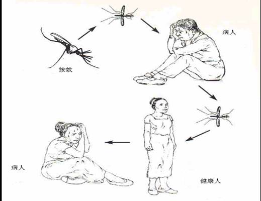 說明: 2008425164144596