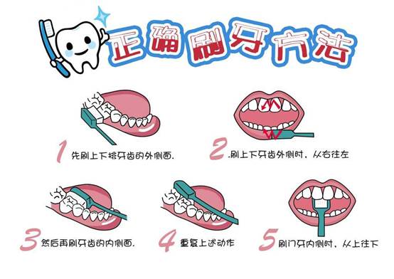 齲齒05.jpg