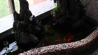 說明: E:\病媒生物控制\2019世界害蟲日\微信公眾號\“世界害蟲日”科普宣傳系列（六）\6.jpg