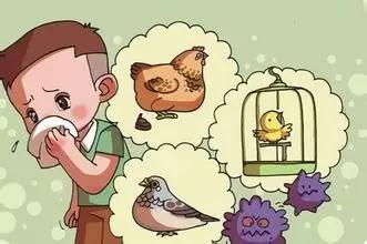 密切接觸家禽