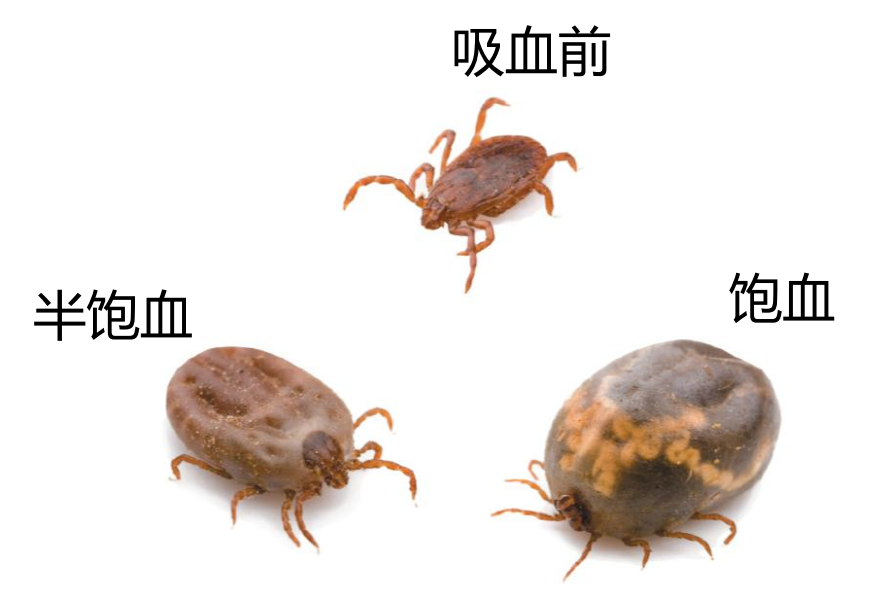 1686900847782264.png