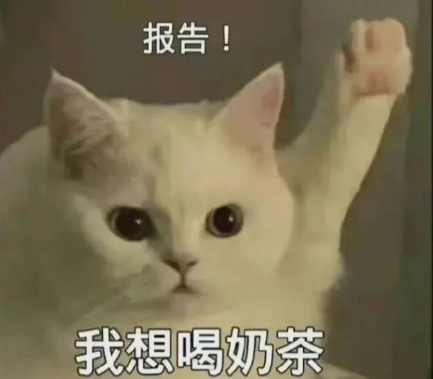 圖片5.png