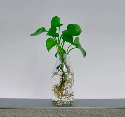 0507公眾號03.jpg